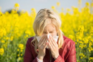 Woman with hay fever sneezing in a field of rape.